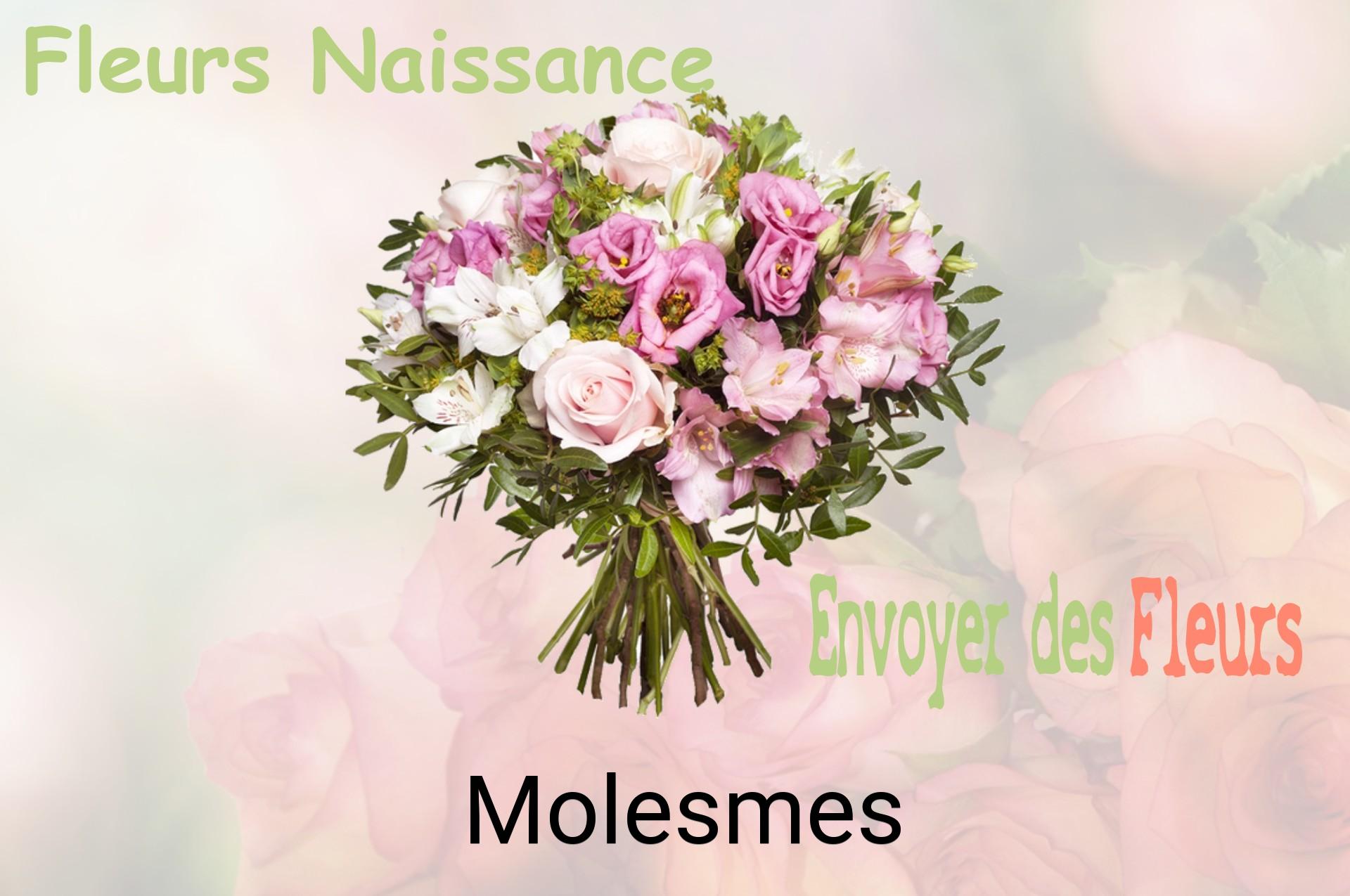 Bouquet de fleurs de naissance livré à Molesmes
