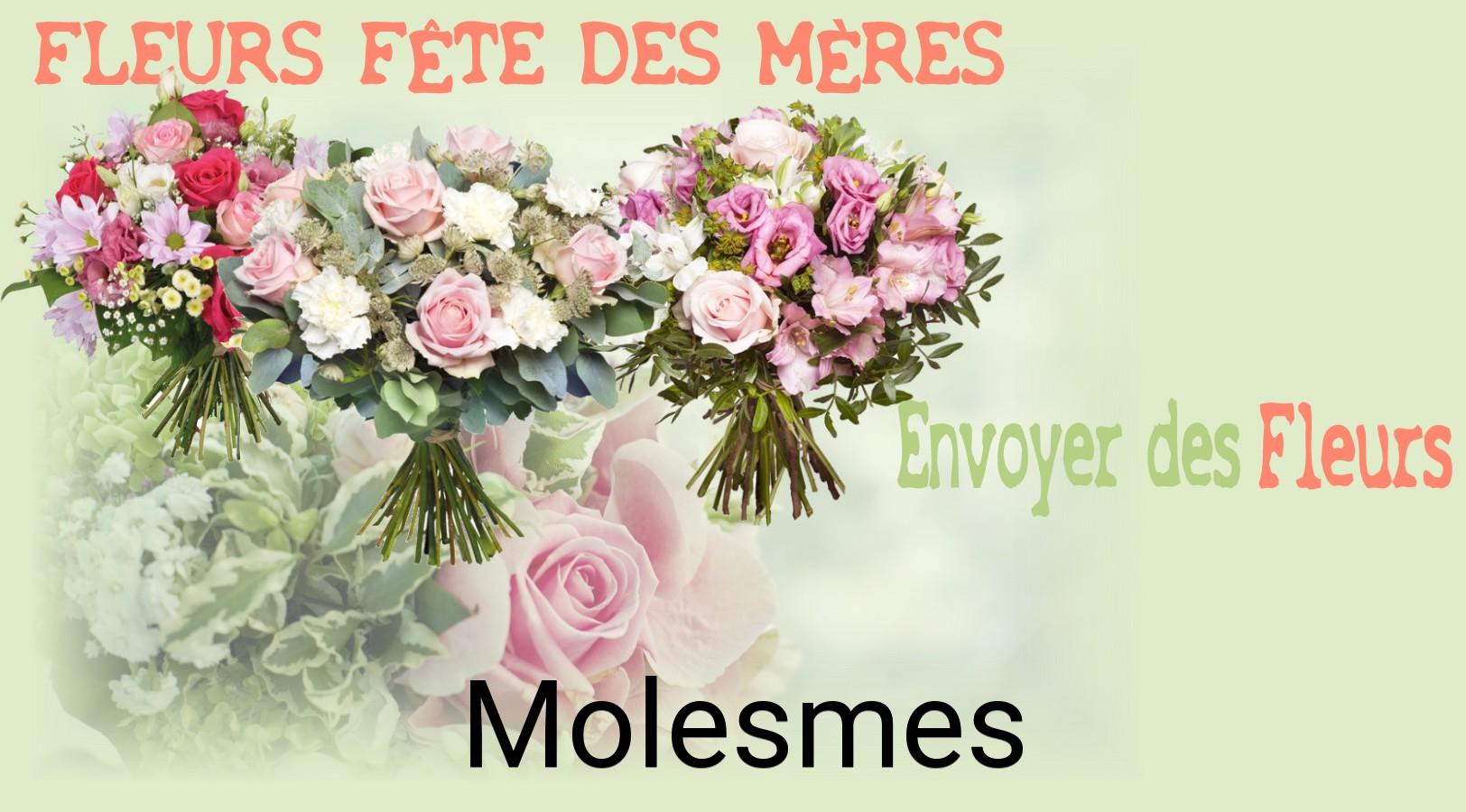 Bouquet de Fête des Mères livré à Molesmes